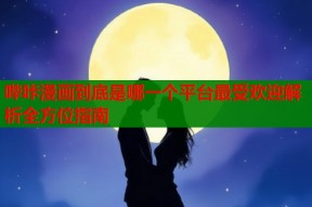 哔咔漫画到底是哪一个平台最受欢迎解析全方位指南