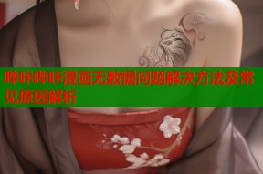 哔咔哔咔漫画无数据问题解决方法及常见原因解析