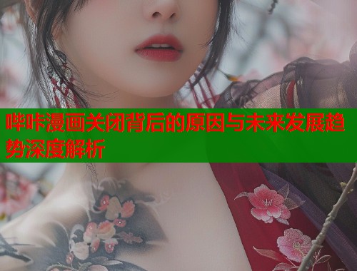 哔咔漫画关闭背后的原因与未来发展趋势深度解析  第1张