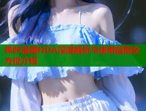 哔咔漫画NDA深度解析与使用指南全方位介绍  第2张